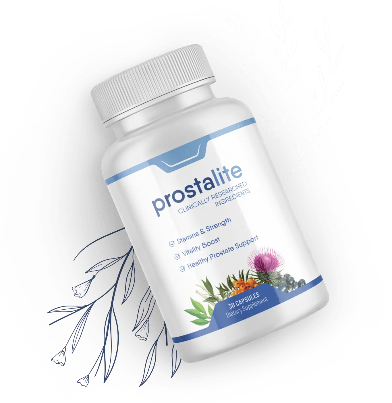 prostalite prostrate supplement